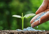 Empresa de fertilizante espessante Empresa de fertilizante espessante