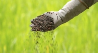 Fertilizante espessante Fertilizante espessante